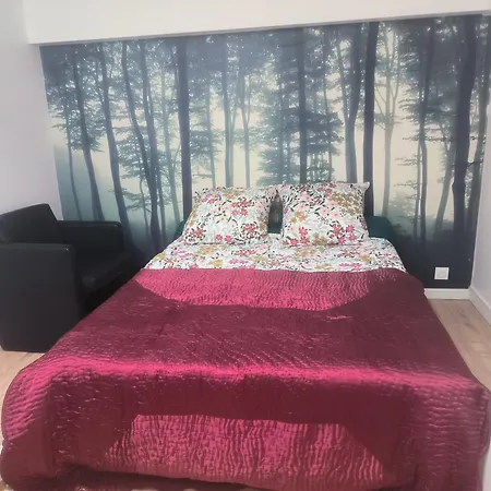 Appartement Jelyad Terres Fortes 1 A 10 Minutes De Disney Chanteloup-en-Brie Exterior foto